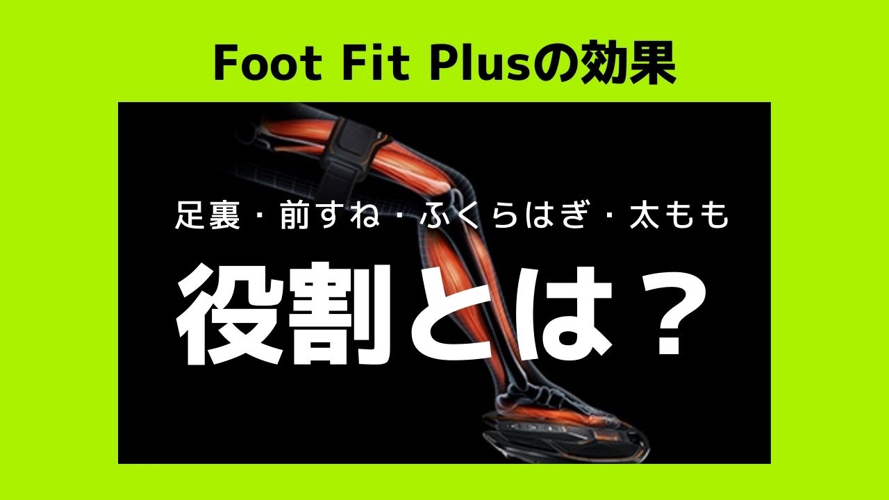 FootFitPlusの効果がある筋肉の役割とは？