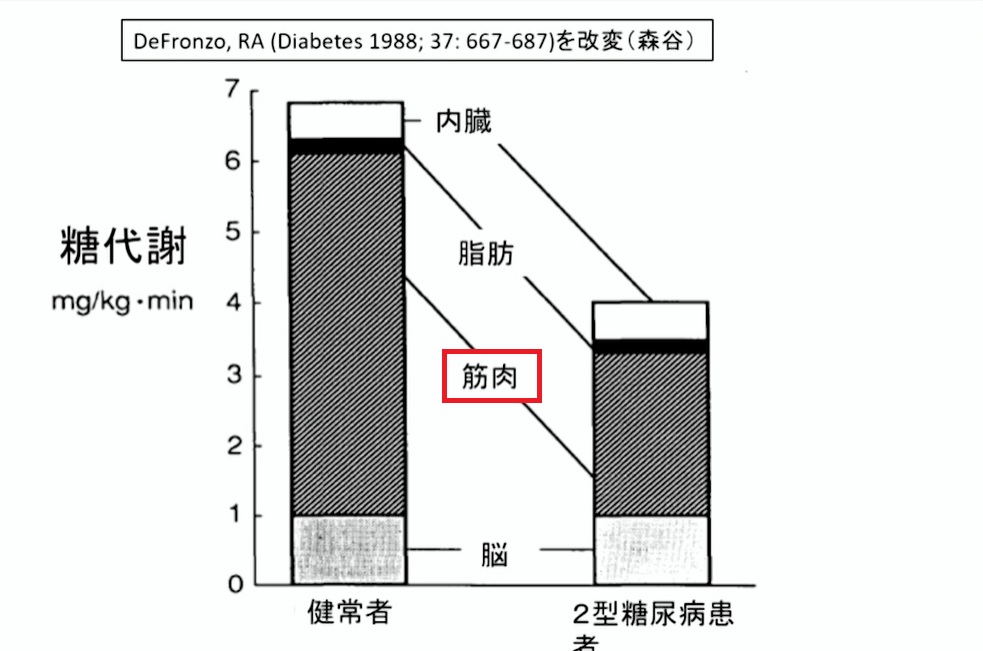 2型糖尿病患者は健常者に比べ、筋肉による糖代